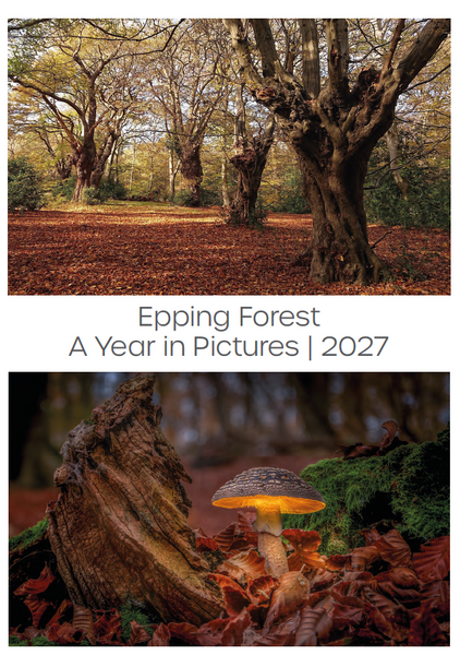 A4 Epping Forest Calendar 2027