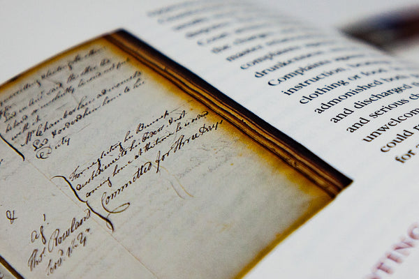 Sheep Over London Bridge - The Freedom of the City of London