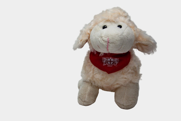 Florrie the Freedom Sheep