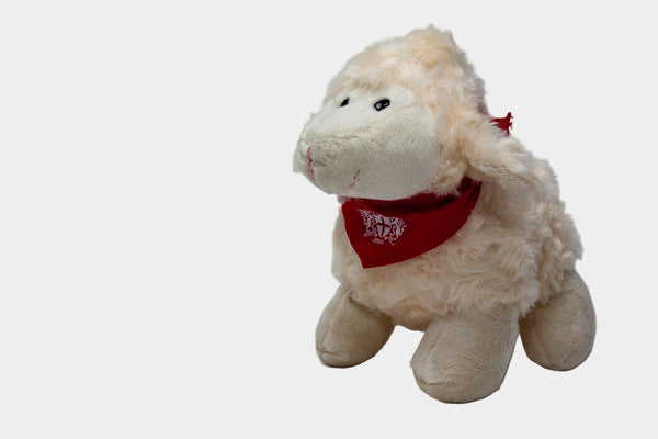 Florrie the Freedom Sheep