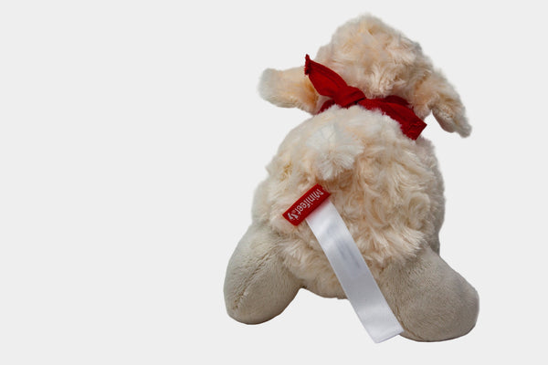 Florrie the Freedom Sheep