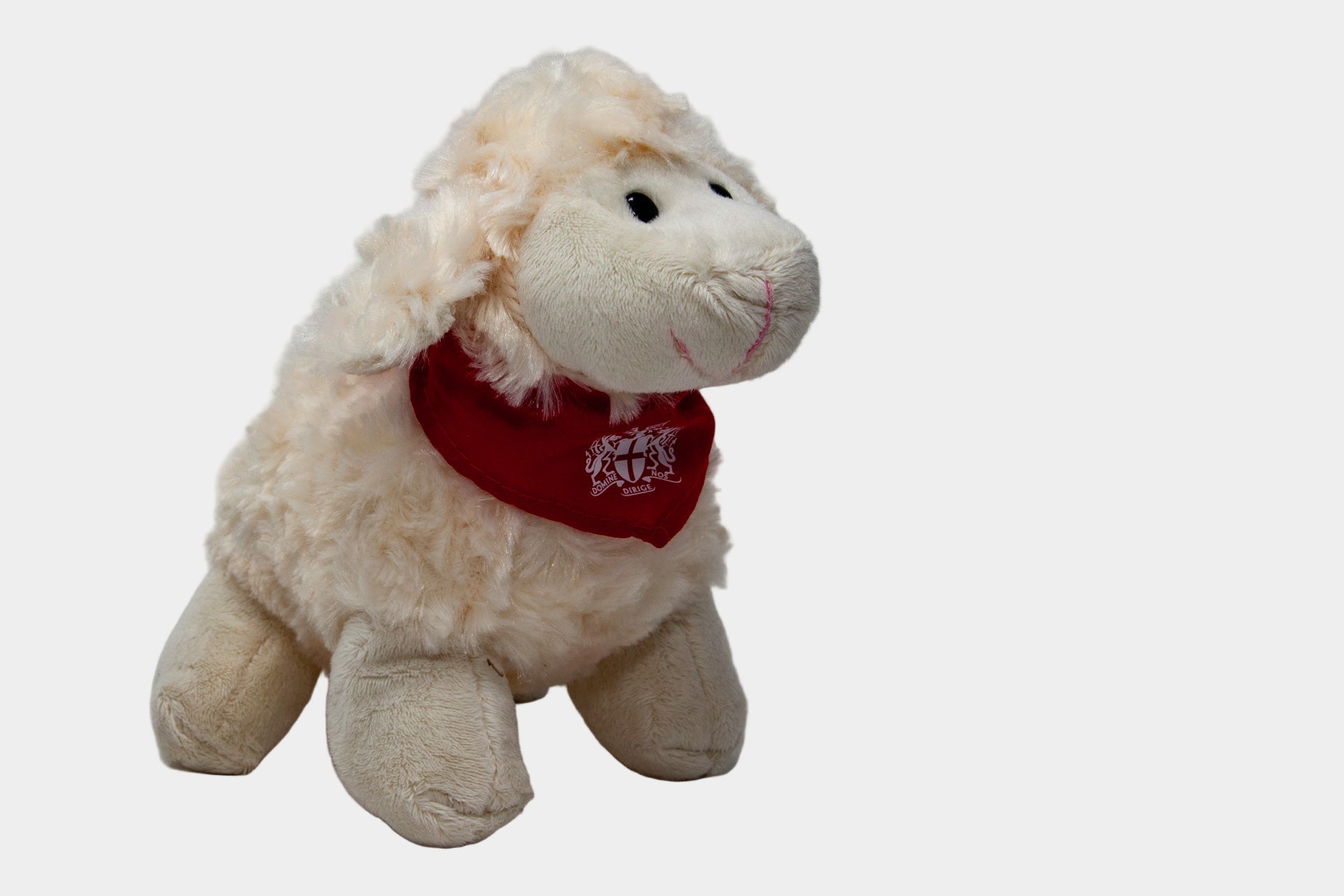 Florrie the Freedom Sheep