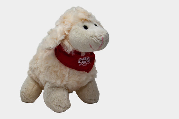 Florrie the Freedom Sheep