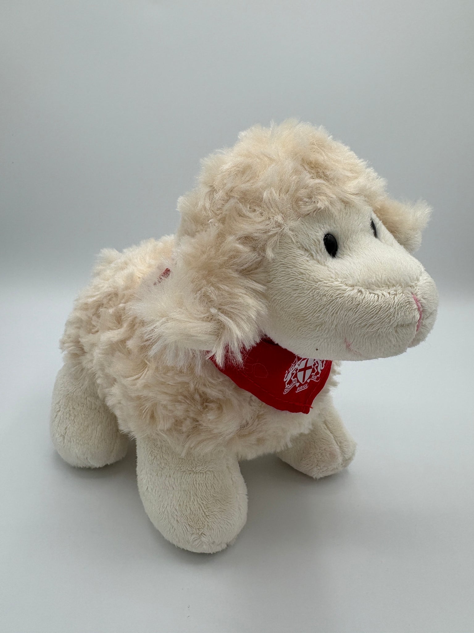 Florrie the Freedom Sheep
