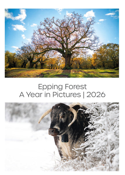 A3 Epping Forest Calendar 2026