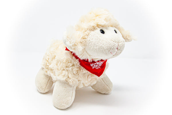 Florrie the Freedom Sheep
